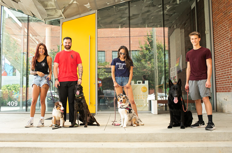 Dog Training by Keystone K9, NC