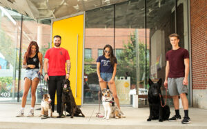 Board and Train in Raleigh, NC: Cost, What to Expect & Is It Worth It?